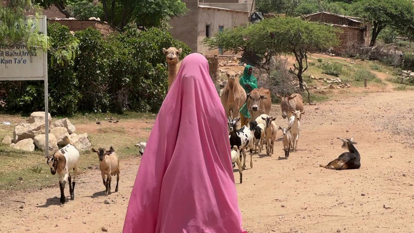 01 - Ten4all Project in Ethiopia - Video spot